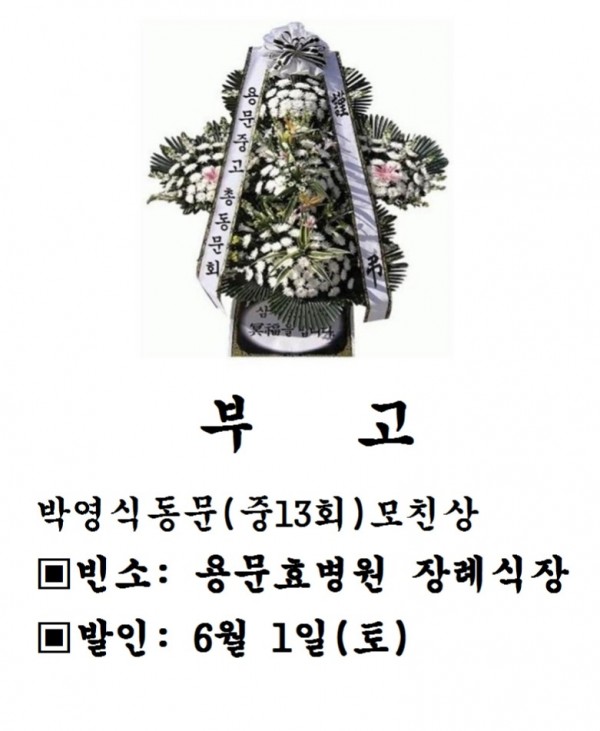 b4875fe67236084efafaa1d4f4b07702_1596158537_78.jpg